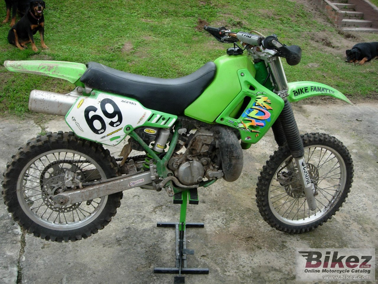 Big  kx 250 picture and wallpaper from Bikez.com
